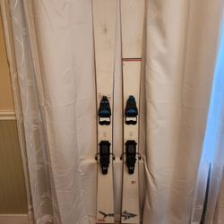 Line Sir Francis Bacon 184 W 