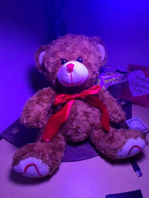 Valentine Teddy Bear