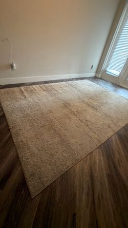 Large Beige Area Rug