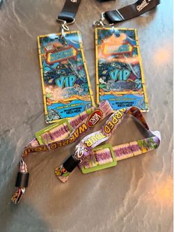 Warped Tour weekend VIP