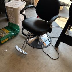 Salon Chair