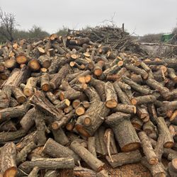 Leña Verde En Rollo De Almendra 