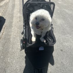 2 In 1 Dog  Car Seat and Stroller