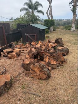 Free firewood (you must split)