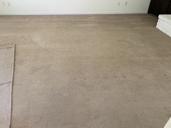 Free carpet and pad