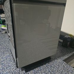 Samsung Dishwasher 24" Bespoke White Glass