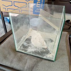 3 Gallon Rimless Fish tank was used As saltwater