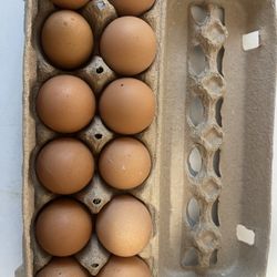 Fresh Eggs 🥚 