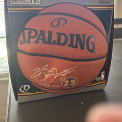 2019 LeBron Printed Basketball