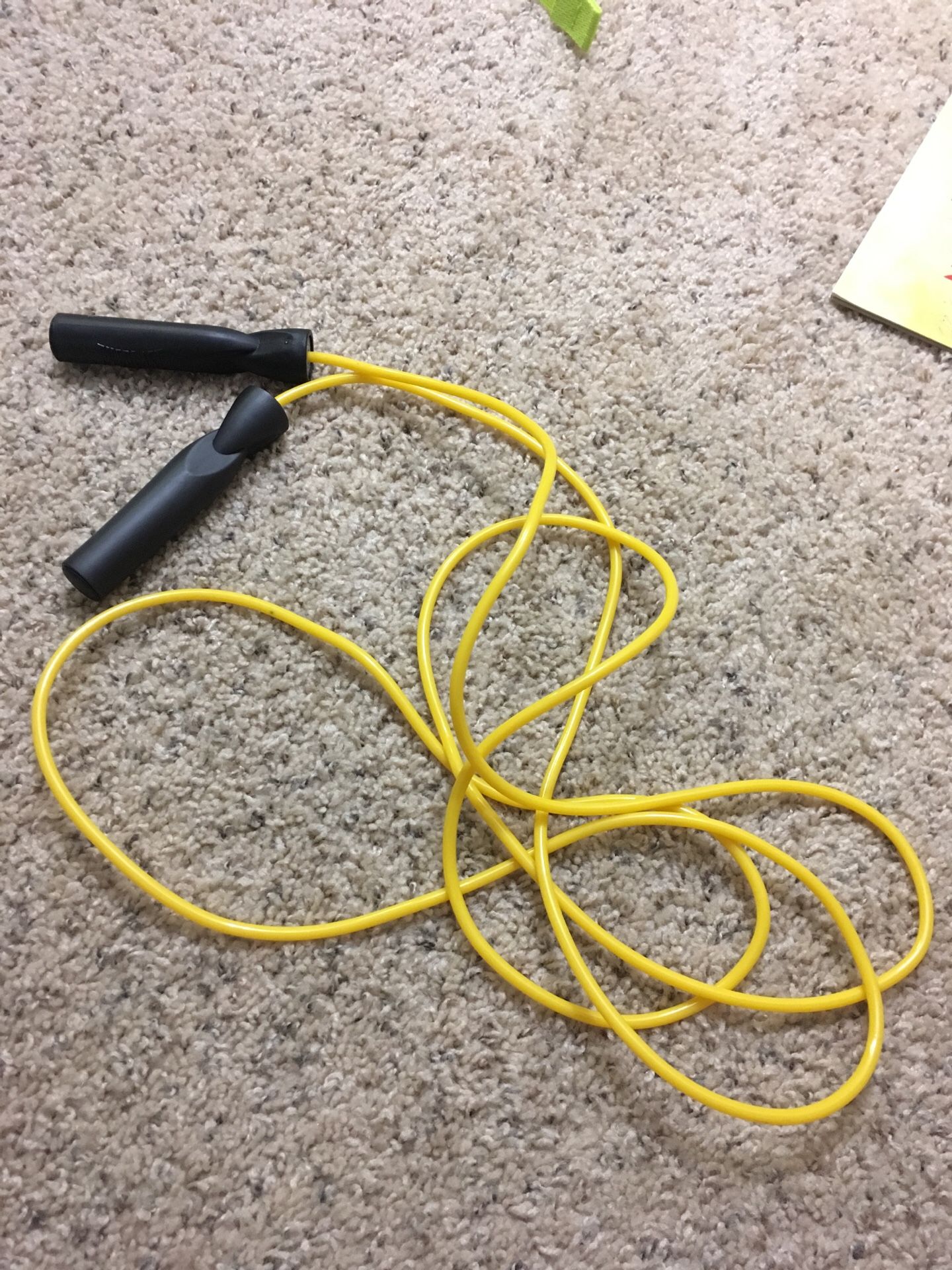 Everlast Jump Rope Unused