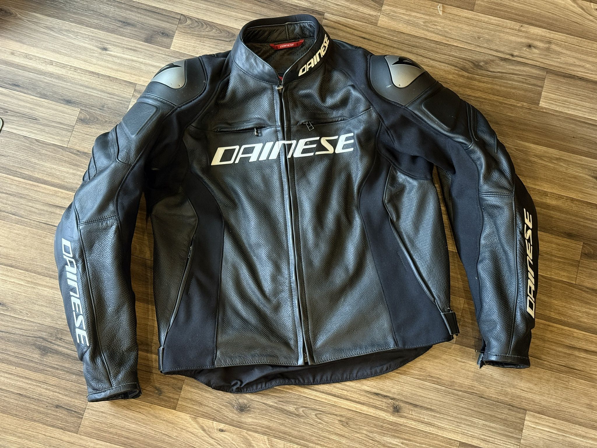 Dianese Leather Pants, Jacket and Back Protector