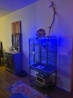 Birdcage