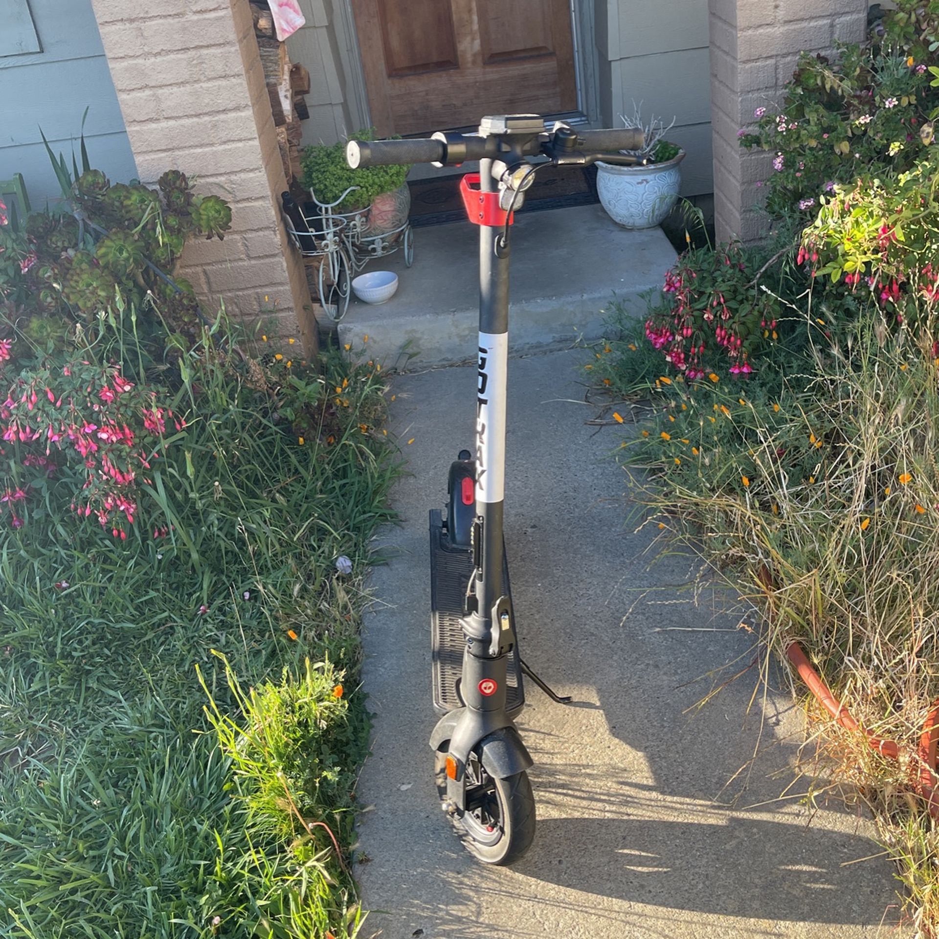 Gotrax Apex E scooter