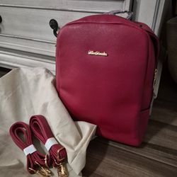 Ella Charles Backpack Purse (New)