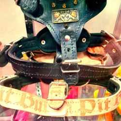 Full Leather Harness 