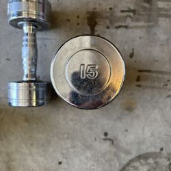 15 Lb Chrome Dumbbells
