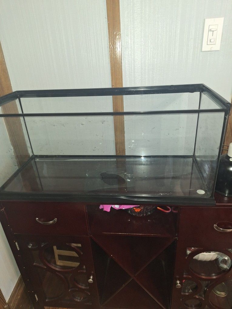 20gal Reptile Tank With Everything You See Plus 2 Mats