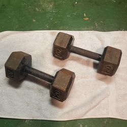 VINTAGE Set of 20 pounds of cast iron hex dumbells