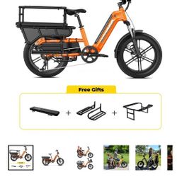 Hovsco Hovcart eBike 750w 