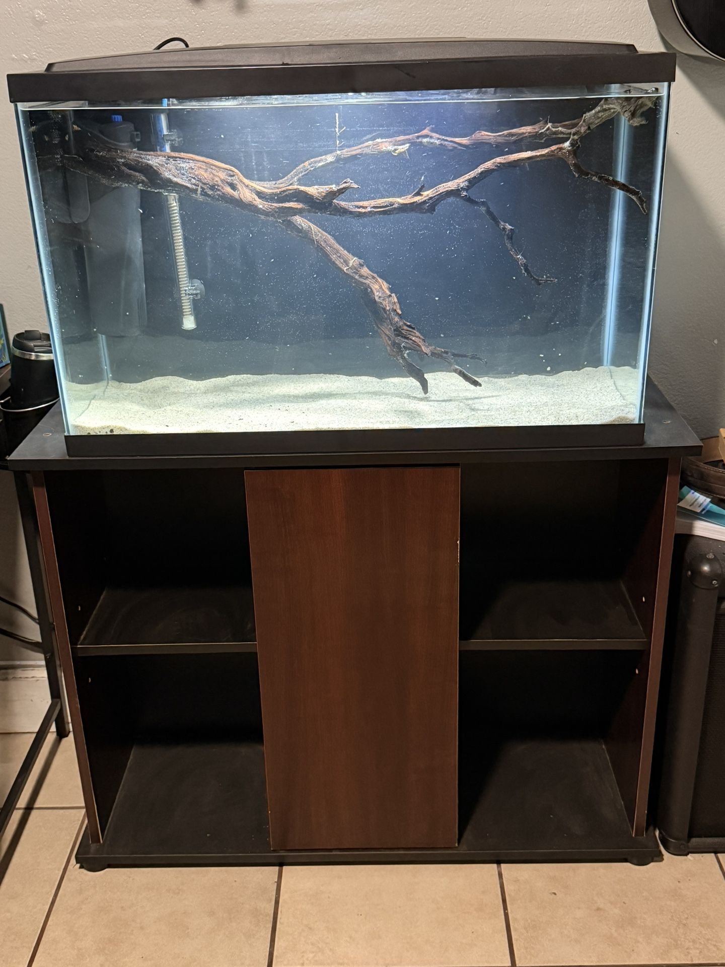 Fish tank Setups
