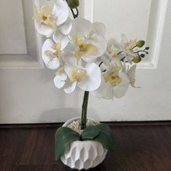 Decoration -artificial plant