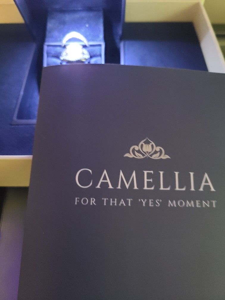 Engagement/wedding Set