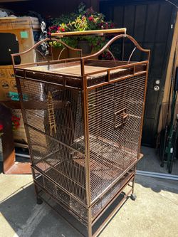 Big bird cage