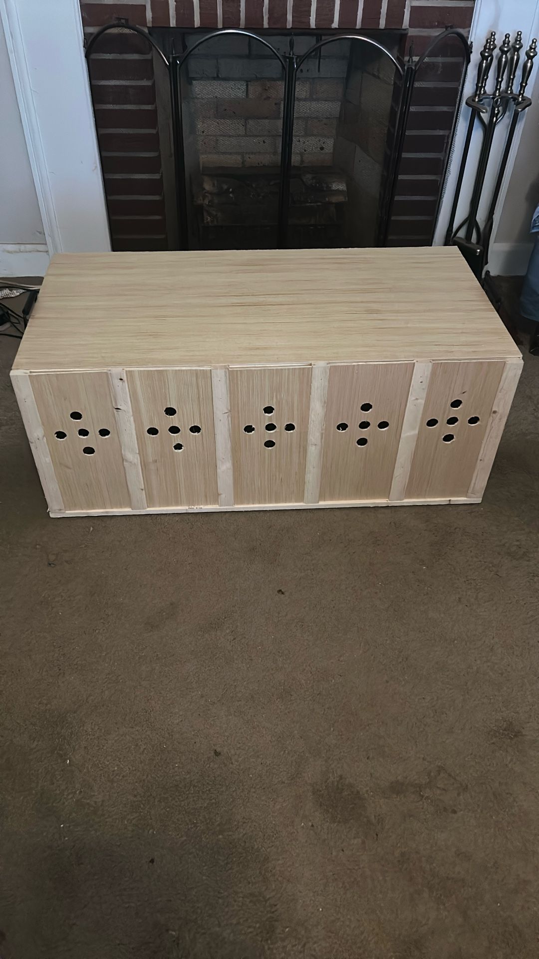 Chicken Carry Box Transport Box