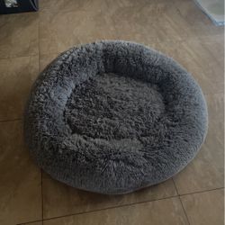 dog bed