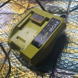 This is a Ryobi 40V Lithium-Ion rapid charger.  
