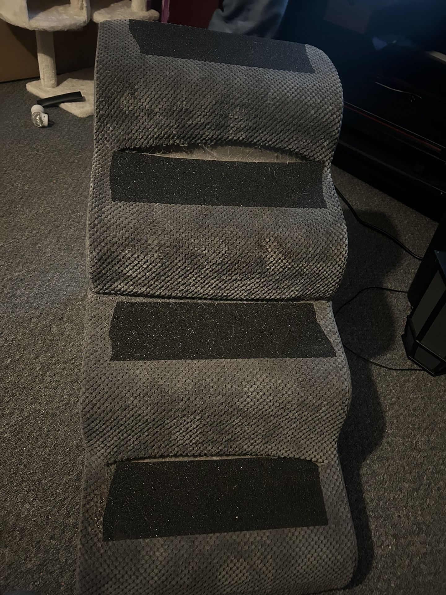 Tall Dog Stairs