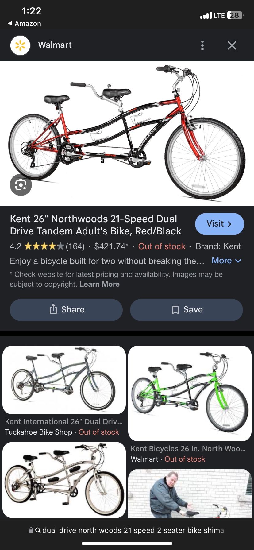 adult Bike 