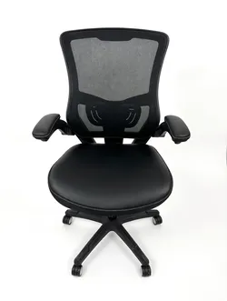 Ergonomic Mesh Office Chair with Lumbar Support