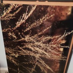 Lanscaping Photos Mounting In Glass New, Never Used