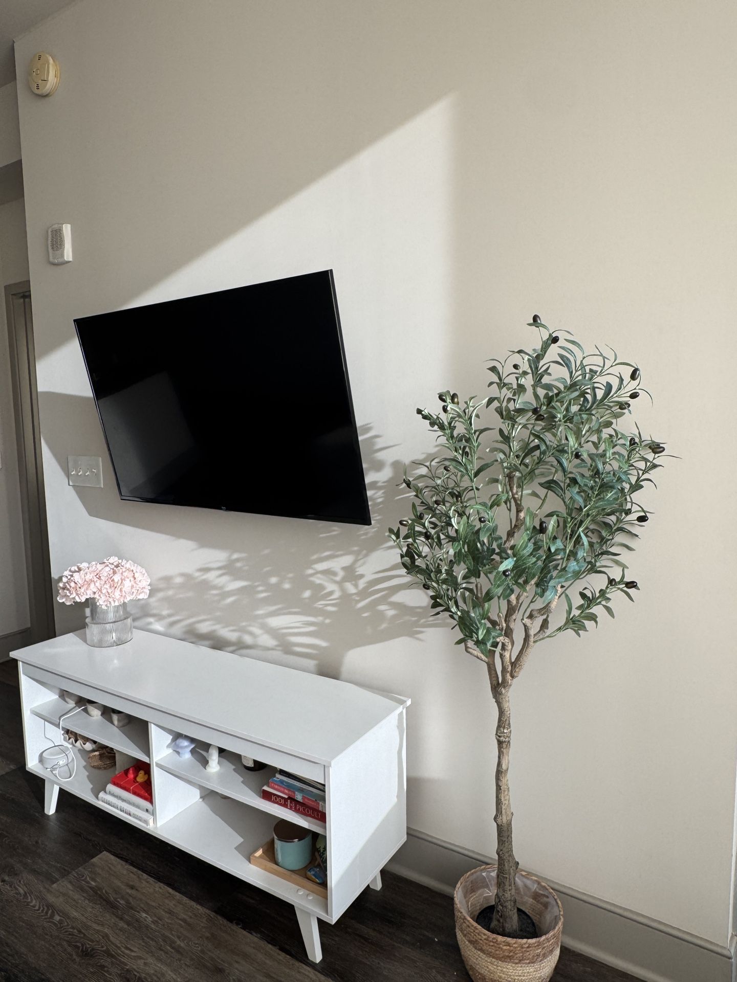 TV Unit And TV
