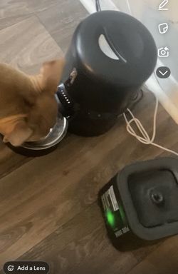 Electric Pet Feeder And Water Fountain