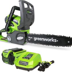 Greenworks 40V 12" Cordless Chainsaw (Great For Storm Clean-Up, Pruning, and Camping), 2.0Ah Battery and Charger Included