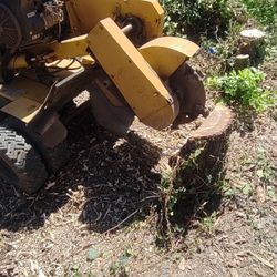 Stump Grinding 