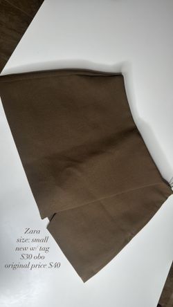 zara skirt