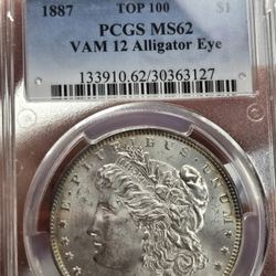 Morgan Dollar 