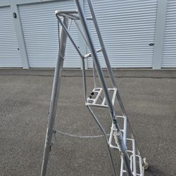 Prunning Ladder