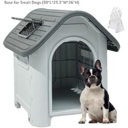 Dog House 