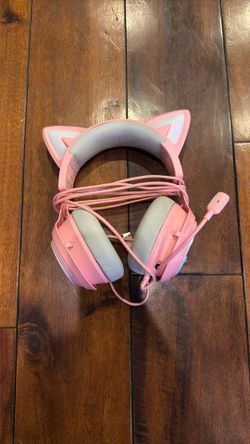 Cat Headphones