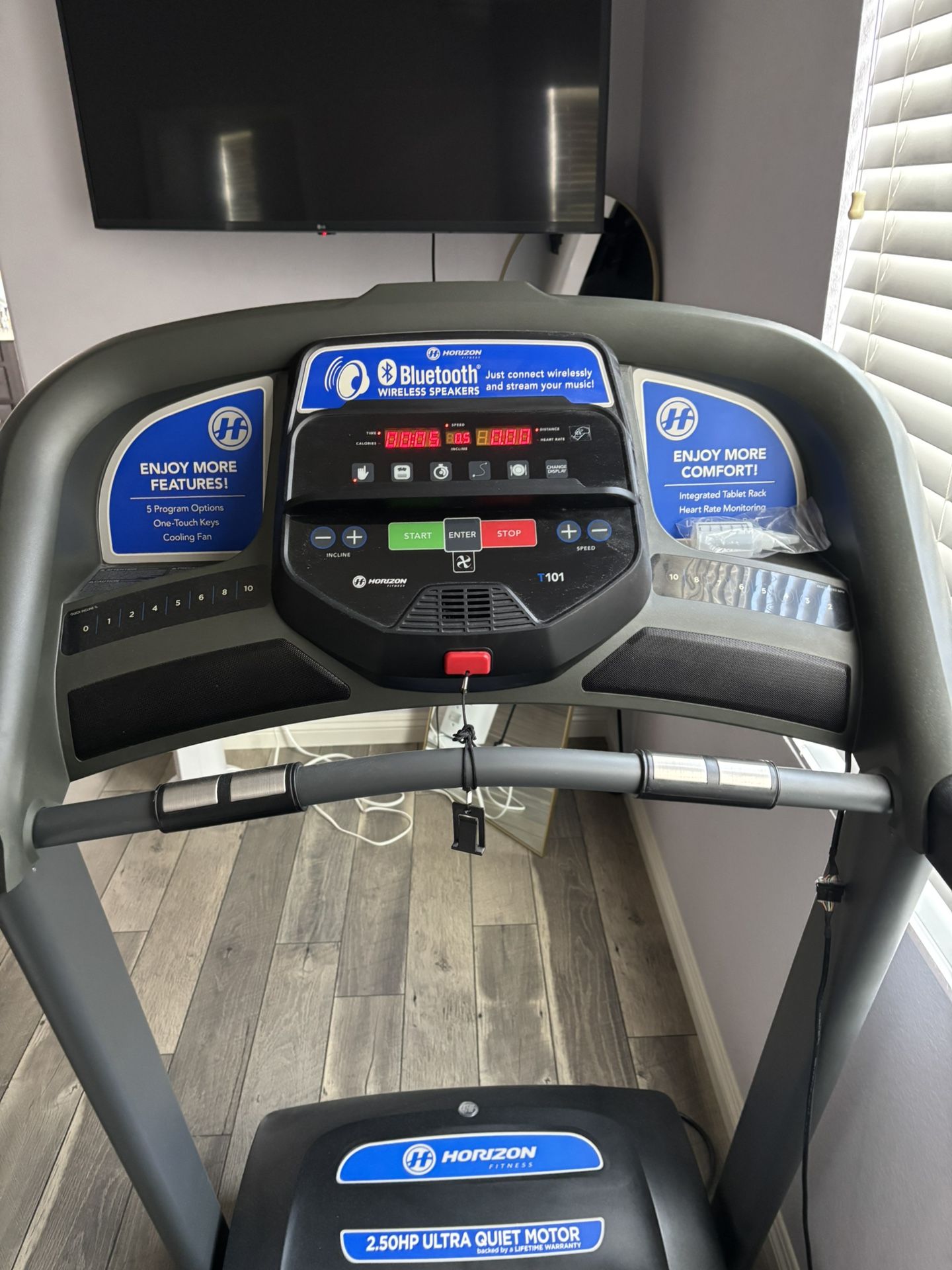 Horizon Treadmill