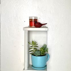 vintage shelf with live succulents