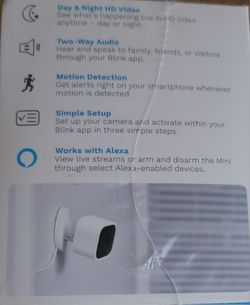 Blink Camera
