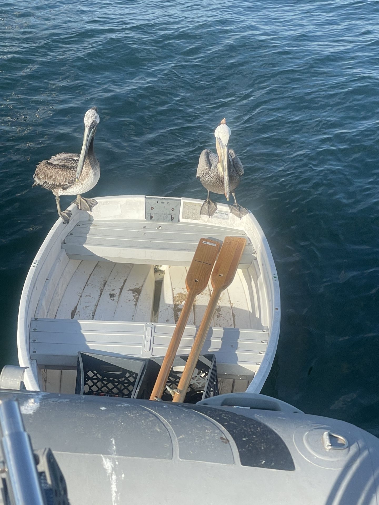 Dinghy Row Boat 8’
