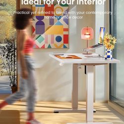 Brand New Stand Up Desk