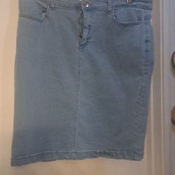 Lark And Gray XL Denim Skirt