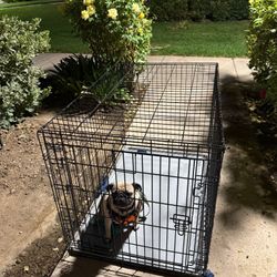 Large Dog Crate – 42” x 27” x 31” (approx. 107 x 70 x 80 cm)